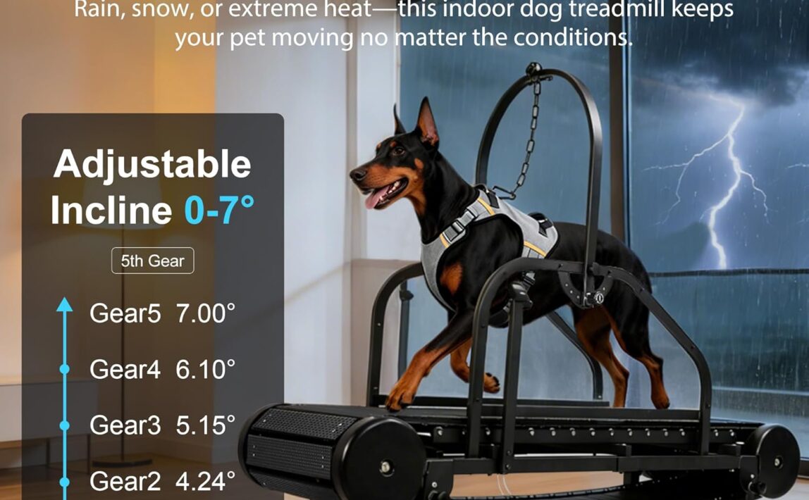 https://princessamiraaldahabgold.com/product-category/medium-treadmills-2/