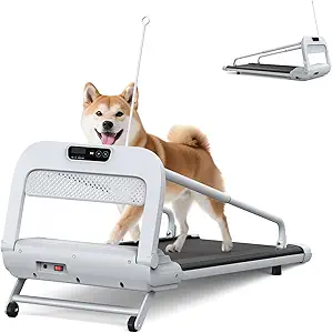 https://princessamiraaldahabgold.com/product-category/treadmills/
