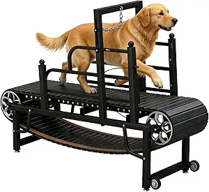 https://princessamiraaldahabgold.com/product-category/large-treadmills-2/