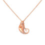 Amira Gold Divine Shree Ganesh Pendant with Chain