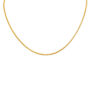 Amira Gold Timeless Gold Chain