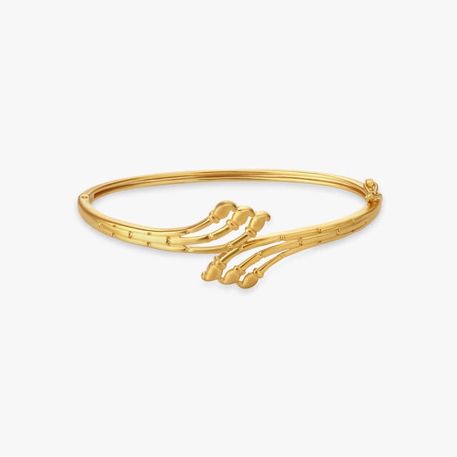 Amira Gold Radiant Minimalism Bangle