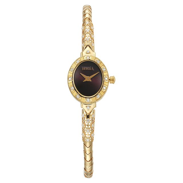 Amira Gold Nebula By Titan Quartz Analog Brown Dial 18 KT Gold Strap Watch for Women