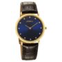 Amira Gold Titan Nebula Vintage 18k Gold Analog with Diamond Studded Indices Watch for Men