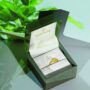 Amira Gold Infinity Twist Gold Ring